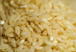 grains de riz transférés dans la vanne bidirectionnelle EGRETIER